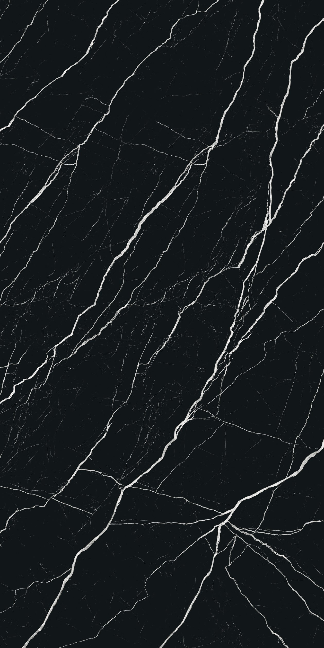 CALACATTA BLACK